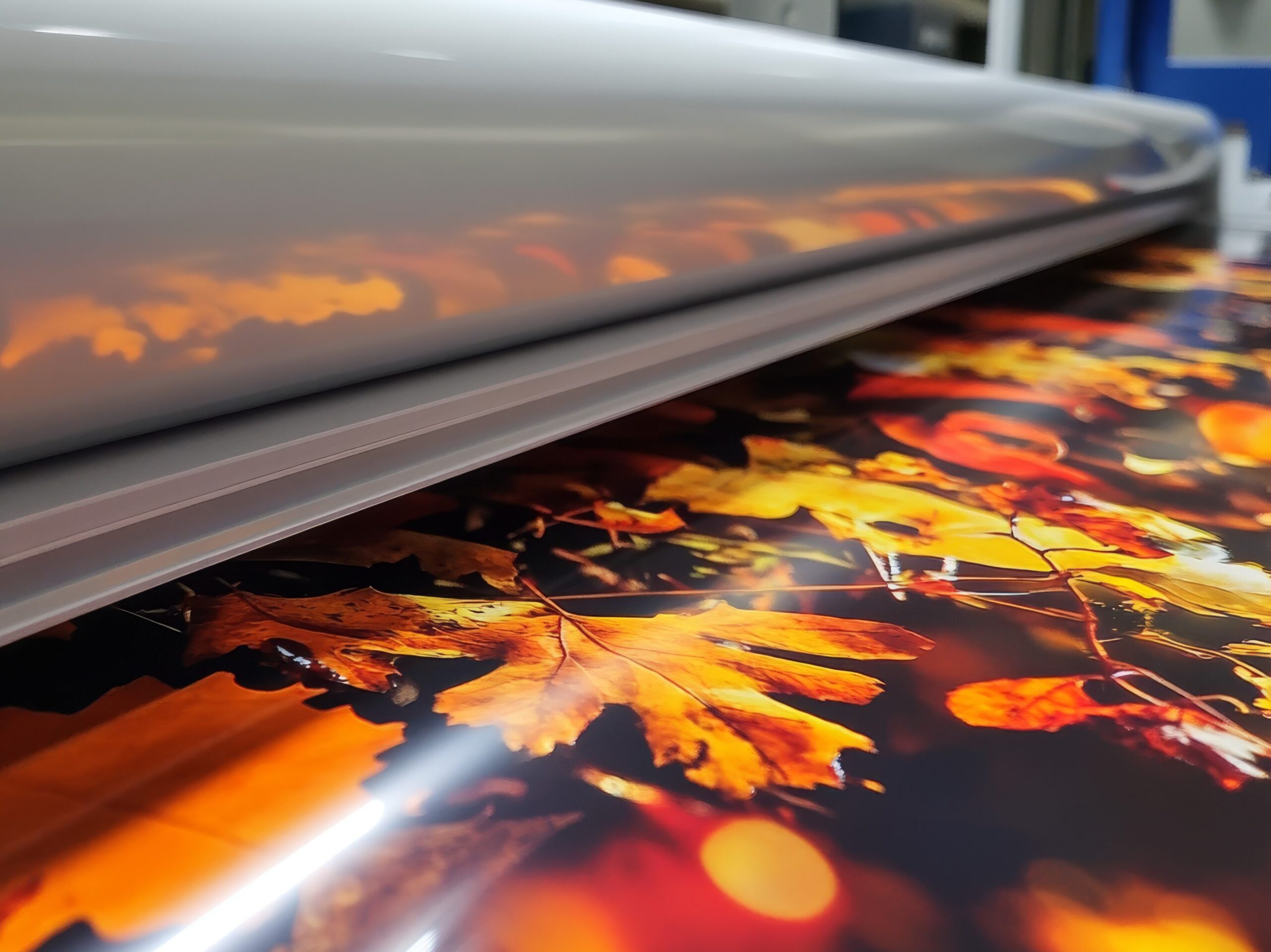 Esempio stampa digitale